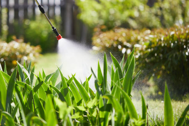24/7 Emergency Wasp Removal experts in Kure Beach, NC
