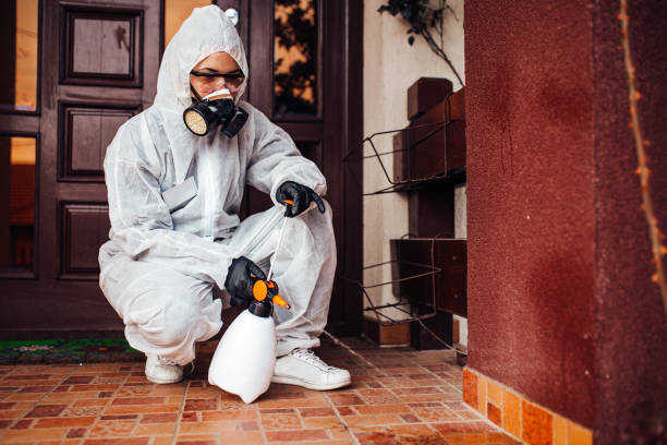Reliable Wasp Removal contractor in Kure Beach, NC by Show Me Pest Control